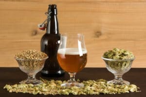 Main Ingredients of Beer