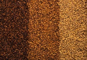 malting process